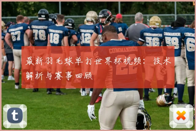 最新羽毛球单打世界杯视频：技术解析与赛事回顾